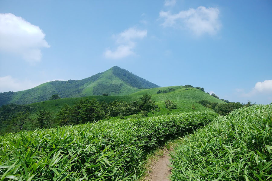 登山