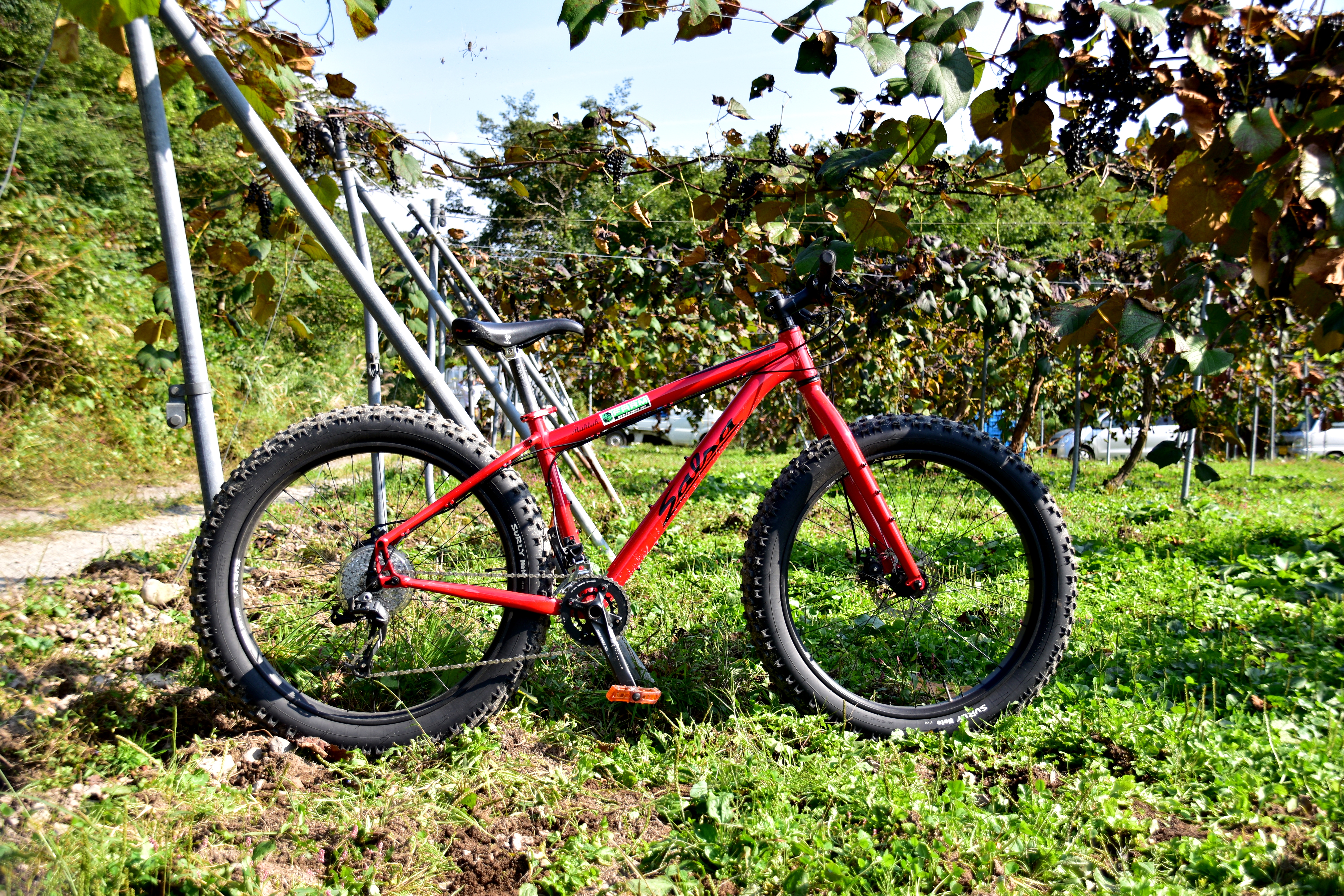 蒜山サイクリングサービス